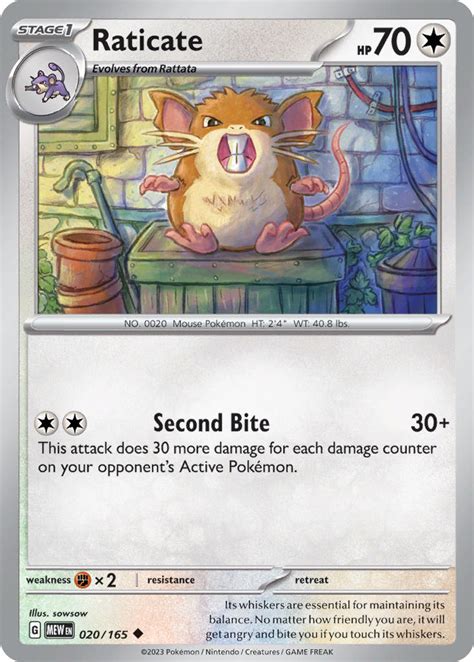 mega raticate|alolan raticate weakness.